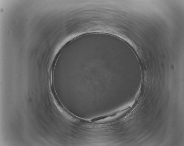 X0000087681515200705181717