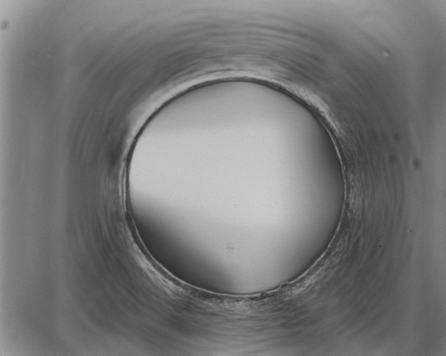 X0000087681516200705181717