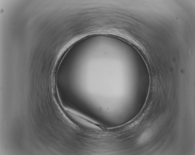 X0000087681517200705181717