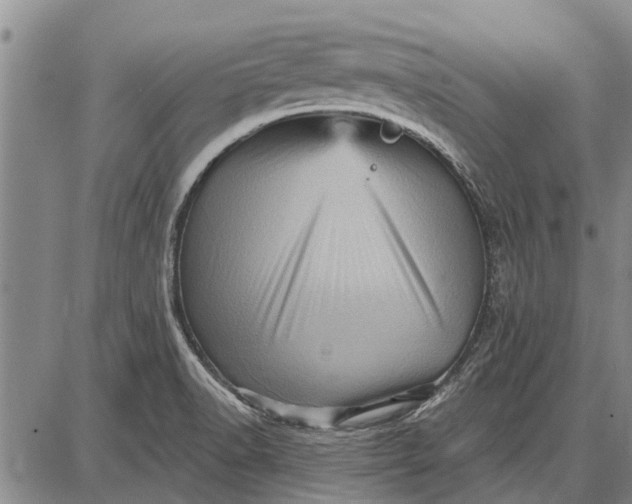 X0000087681518200705181717