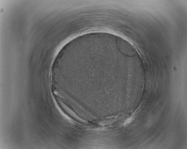 X0000087681519200705181717