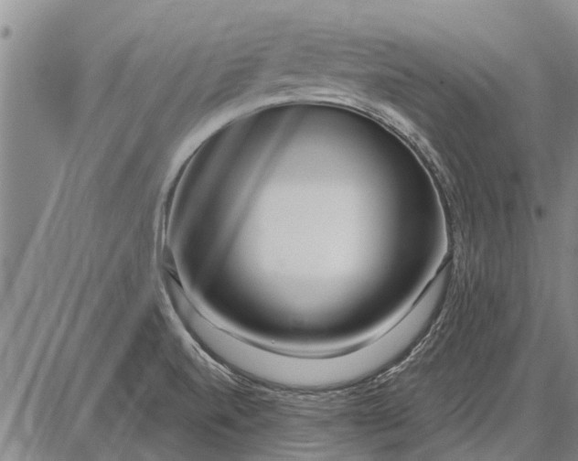 X0000087681520200705181717