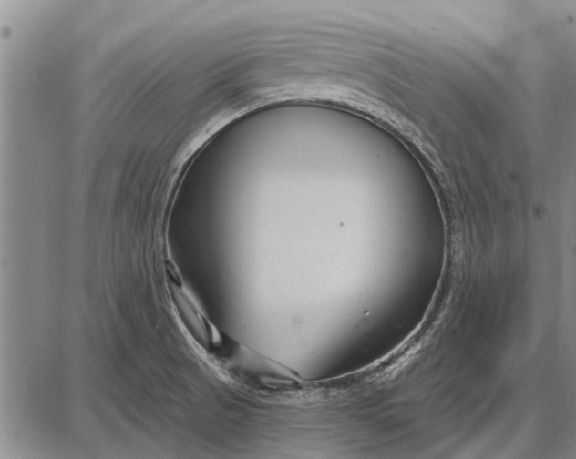 X0000087681521200705181717