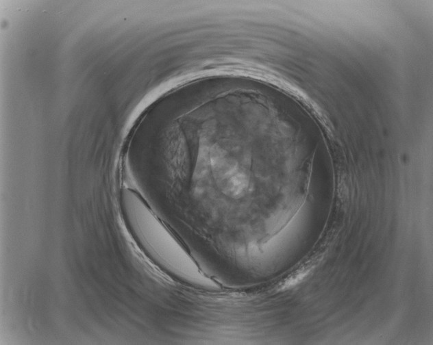 X0000087681522200705181717