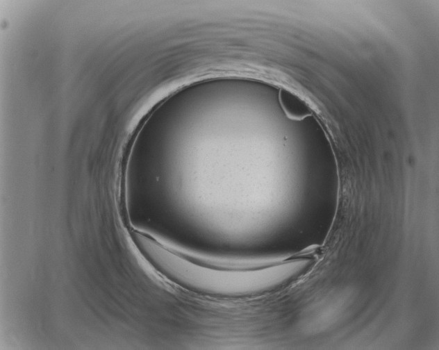 X0000087681523200705181717