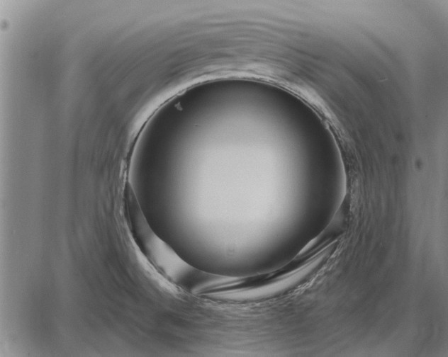 X0000087681524200705181717