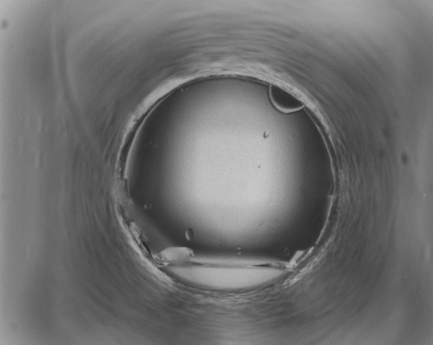 X0000087681525200705181717