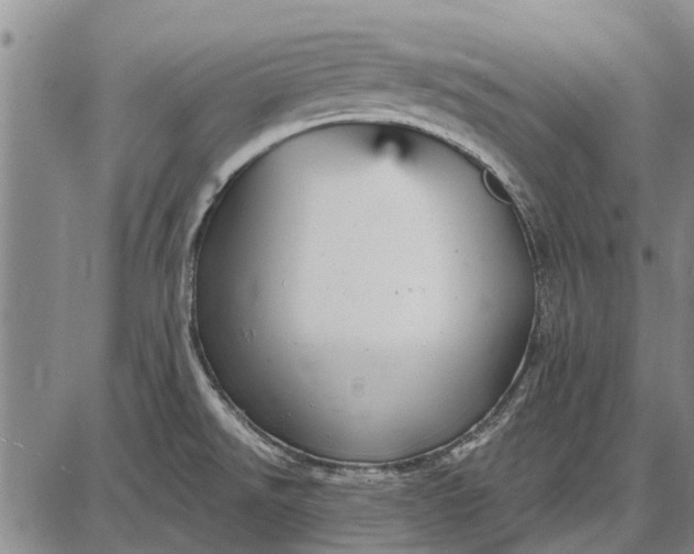 X0000087681526200705181717