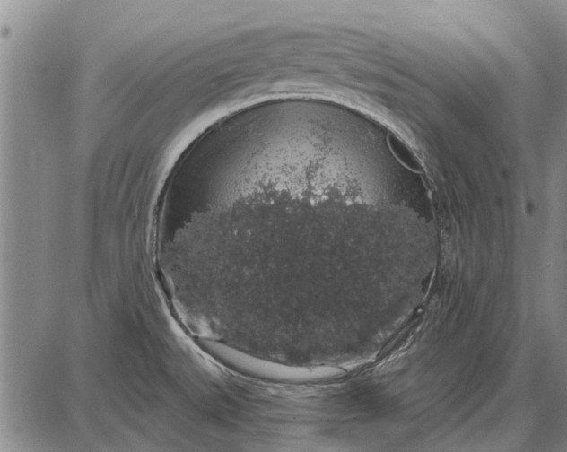 X0000087681527200705181717