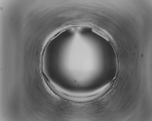 X0000087681528200705181717