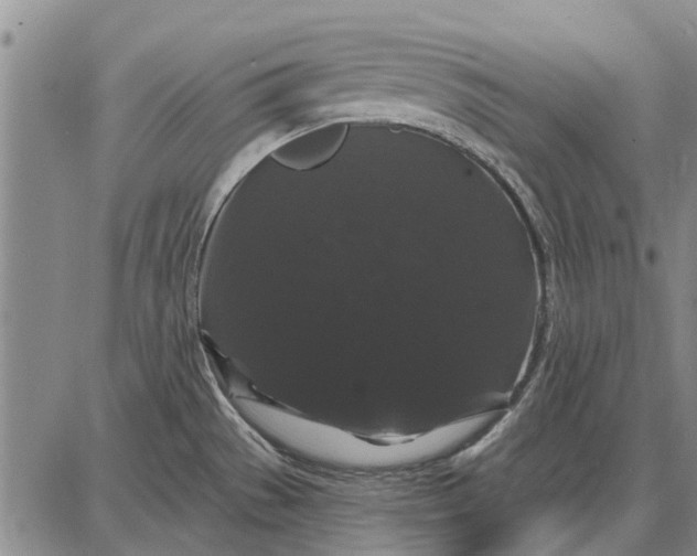 X0000087681529200705181717