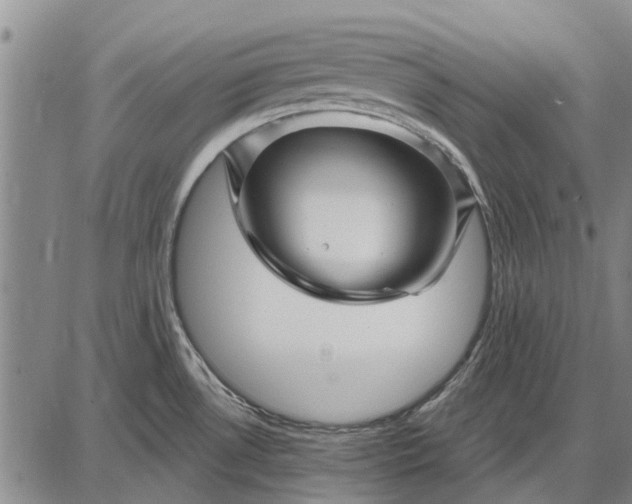 X0000087681530200705181717