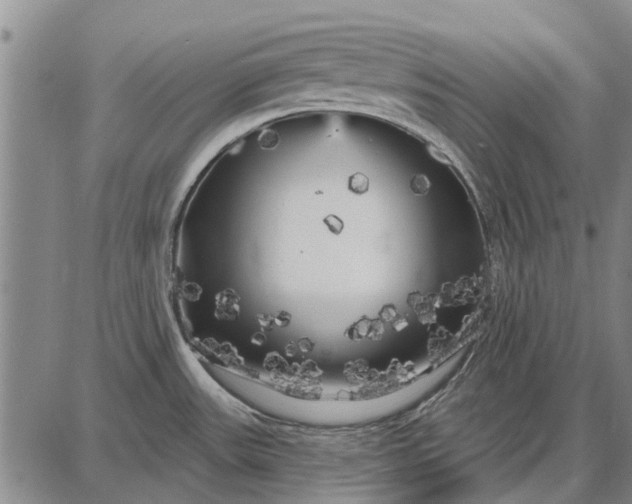 X0000087681531200705181717