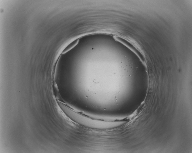 X0000087681532200705181717