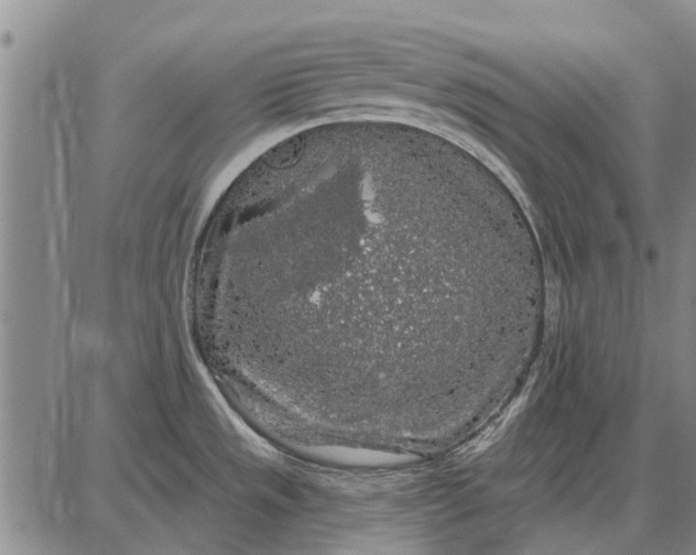 X0000087681533200705181717