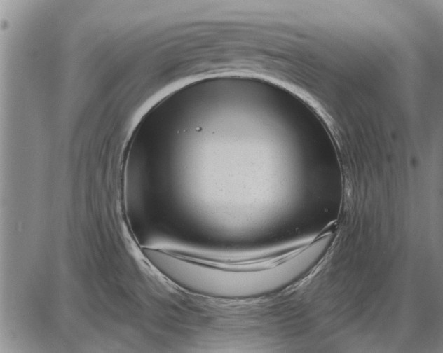 X0000087681534200705181717