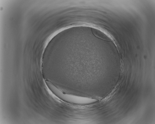 X0000087681535200705181717