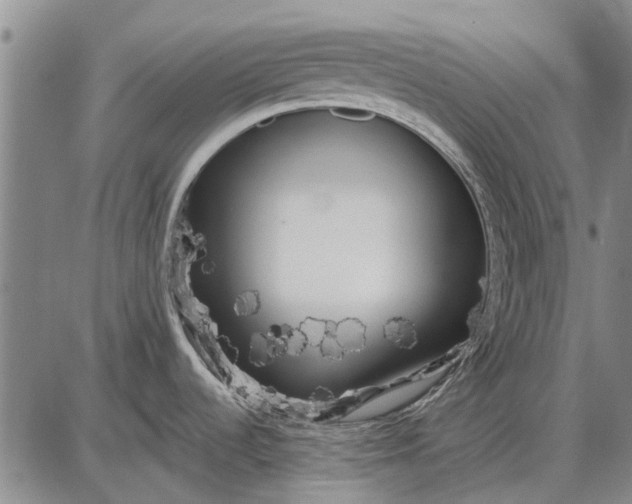 X0000087681536200705181717