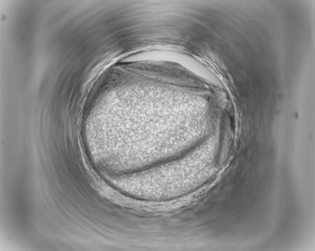 X0000087680001200705251655