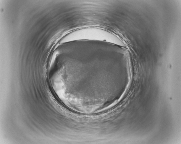 X0000087680002200705251655