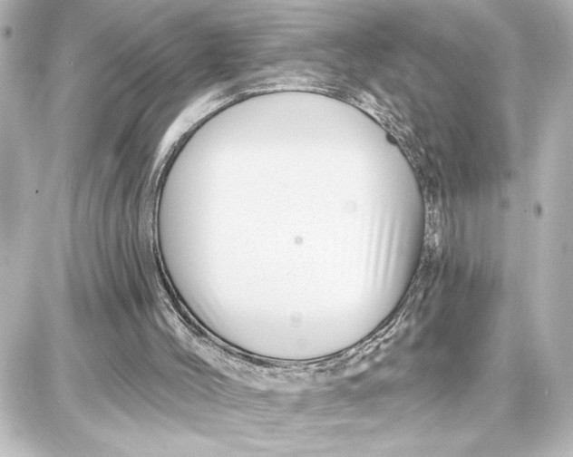 X0000087680004200705251655