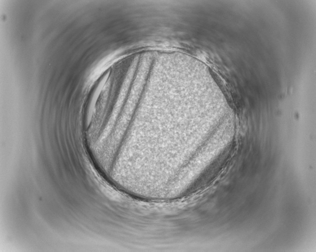 X0000087680005200705251655