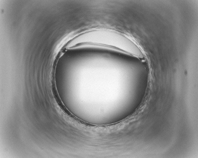 X0000087680007200705251655