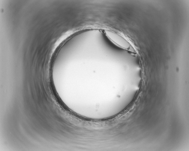 X0000087680008200705251655