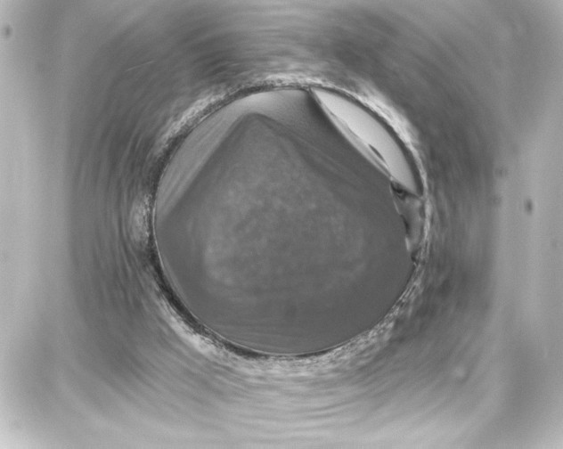 X0000087680009200705251655