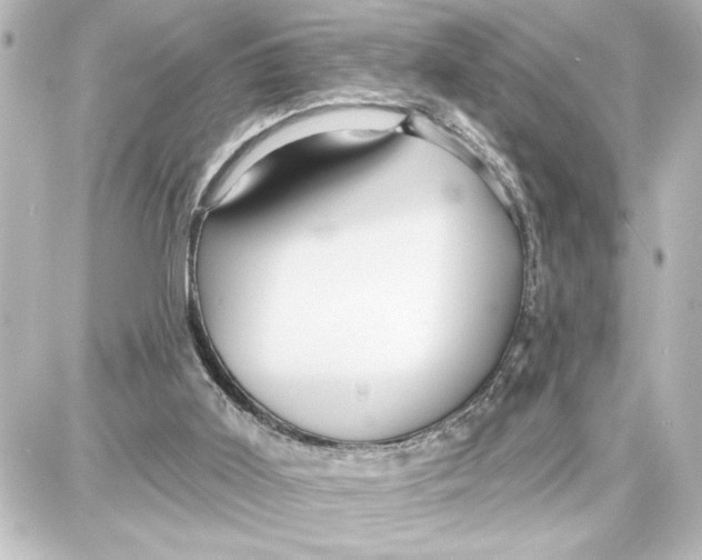 X0000087680011200705251655