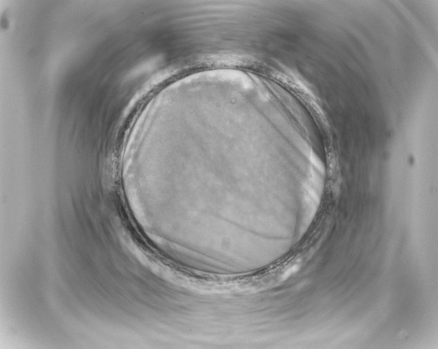 X0000087680012200705251655