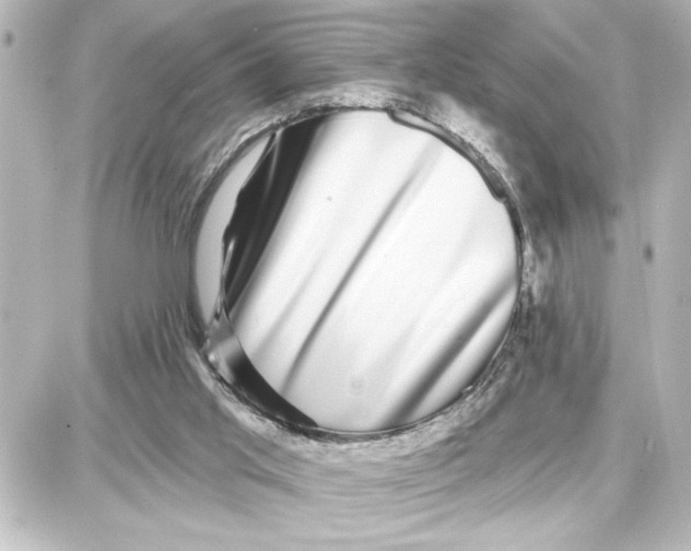 X0000087680013200705251655