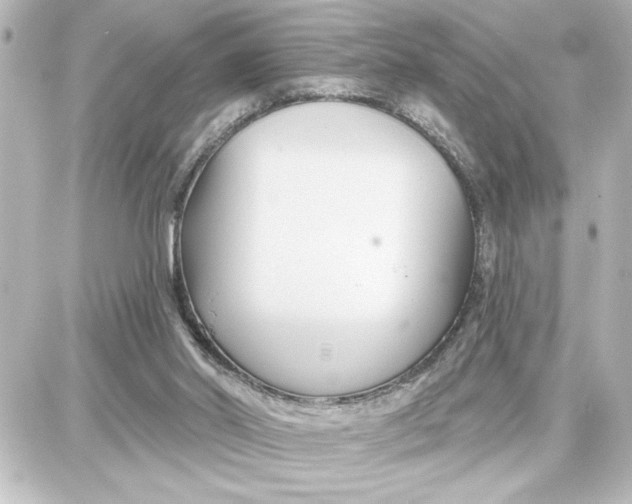 X0000087680014200705251655