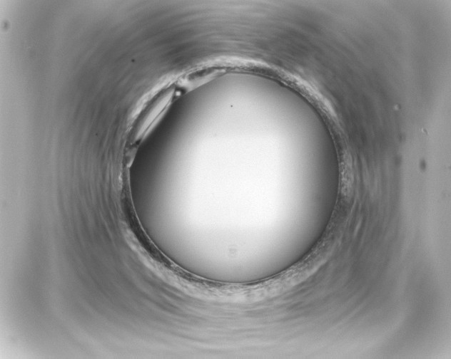 X0000087680015200705251655