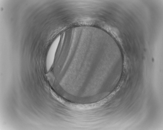 X0000087680017200705251655