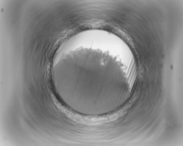 X0000087680018200705251655