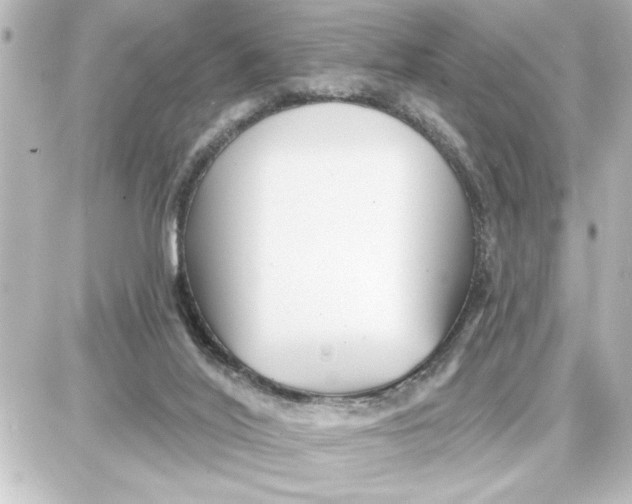 X0000087680020200705251655