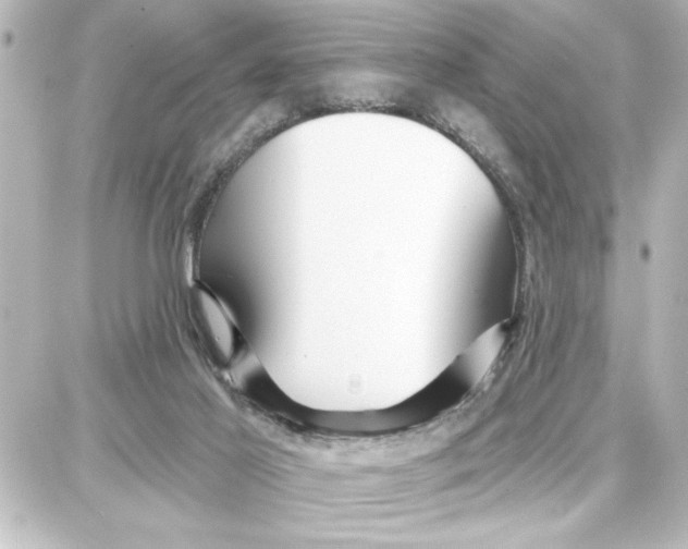 X0000087680021200705251655