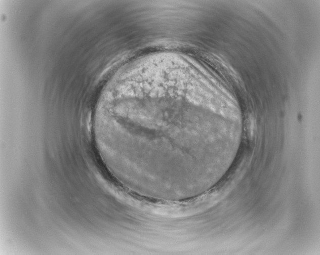 X0000087680024200705251655