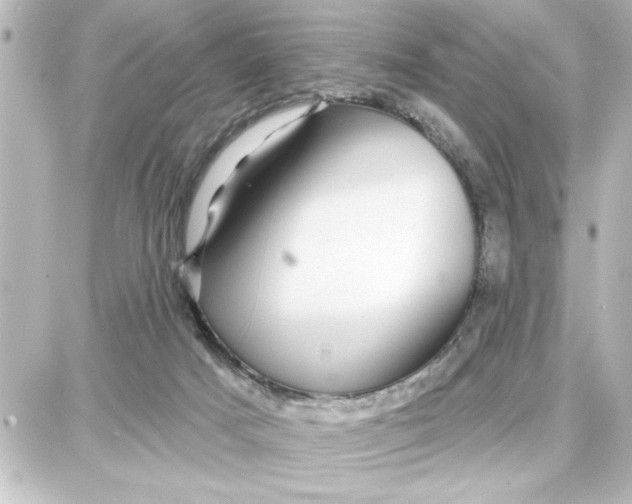 X0000087680025200705251655