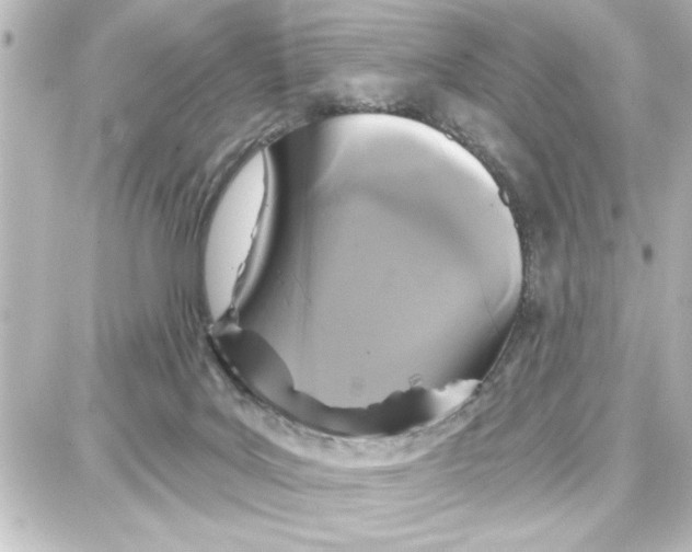 X0000087680027200705251655