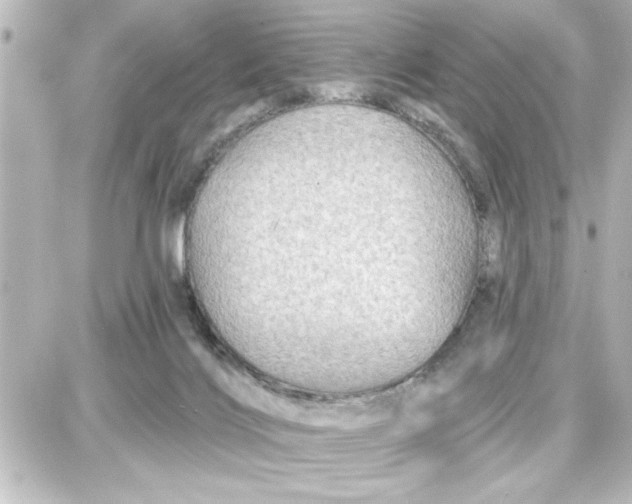 X0000087680028200705251655