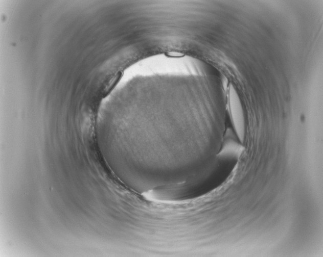 X0000087680029200705251655