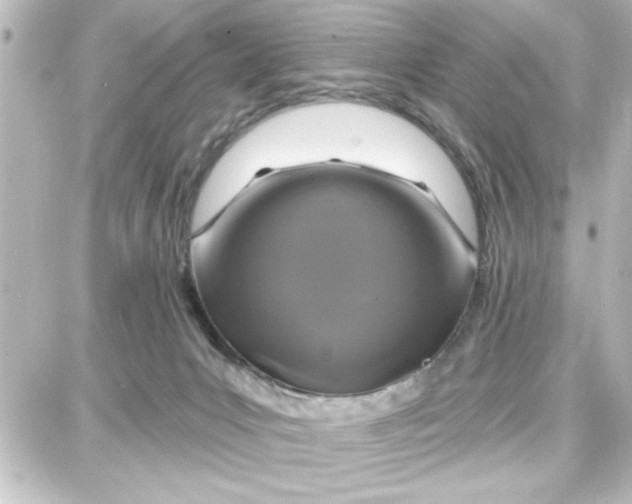 X0000087680031200705251655