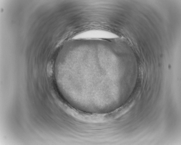 X0000087680032200705251655