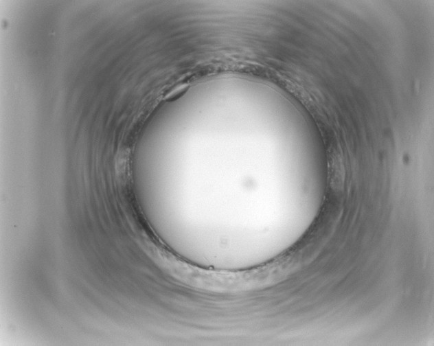 X0000087680034200705251655