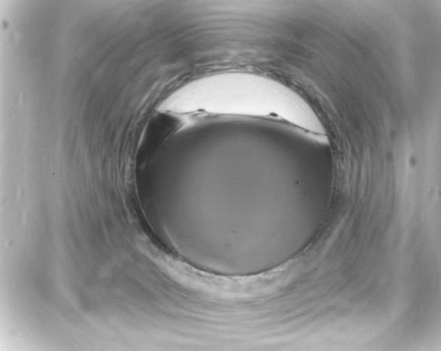 X0000087680035200705251655