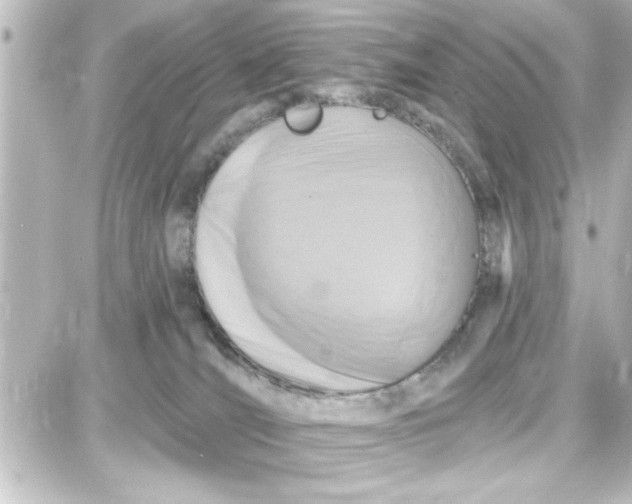 X0000087680036200705251655