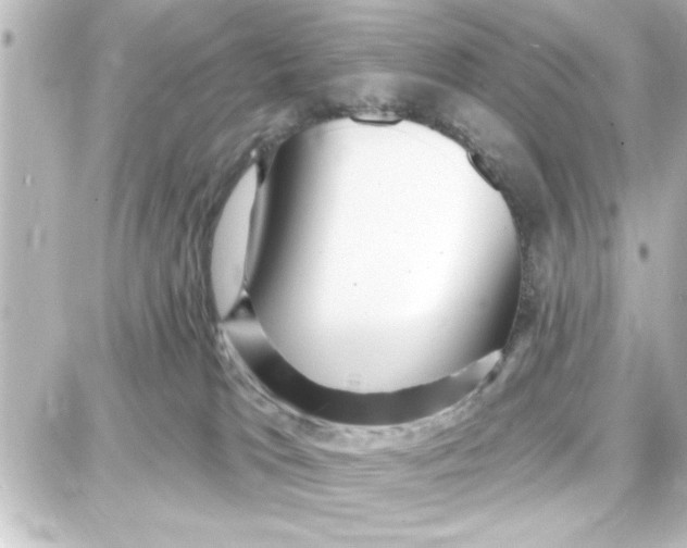 X0000087680037200705251655