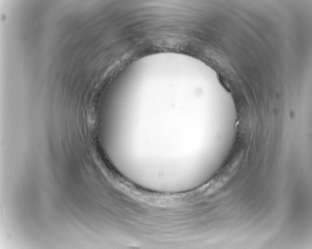 X0000087680040200705251655